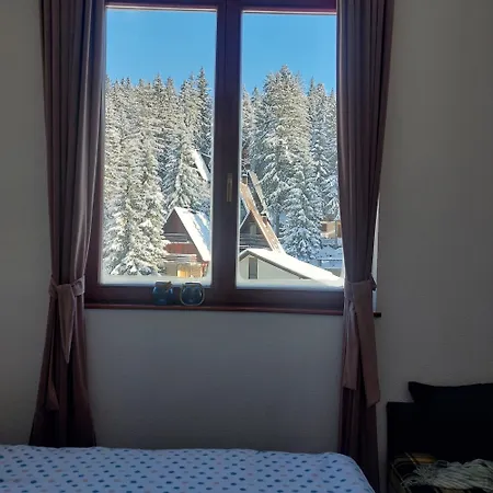 Apartment 1 Zlaja Vlasic