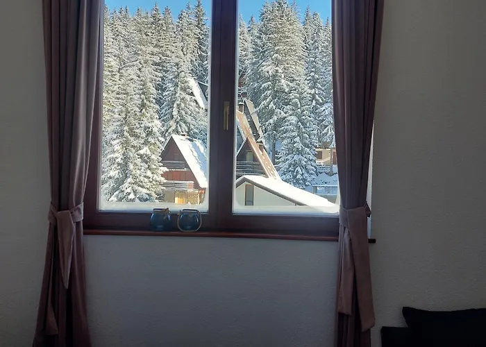 Apartment 1 Zlaja Vlasic