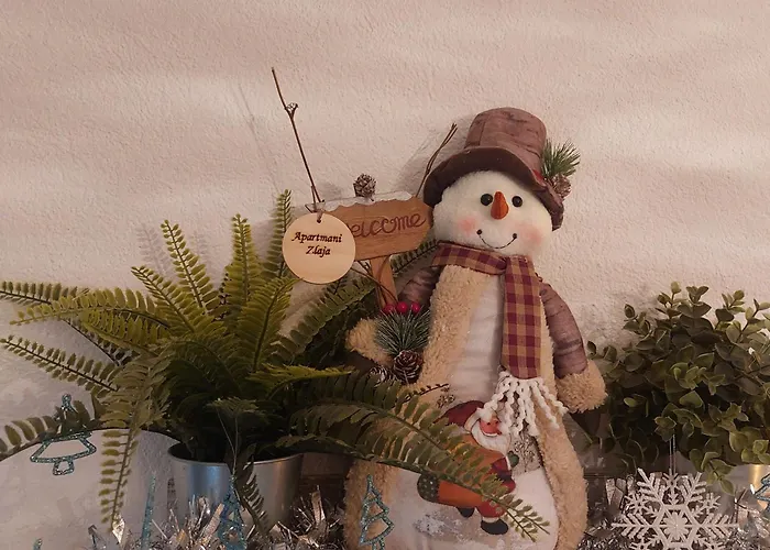 1 Zlaja Apartment Vlasic