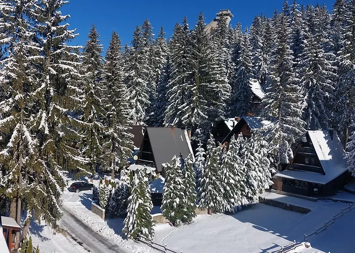 1 Zlaja Apartment Vlasic